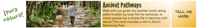 Ancient Pathways