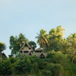 Travel Planning for Taylor & Nathaniel's Wedding