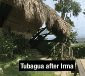 An unwanted guest blows in...